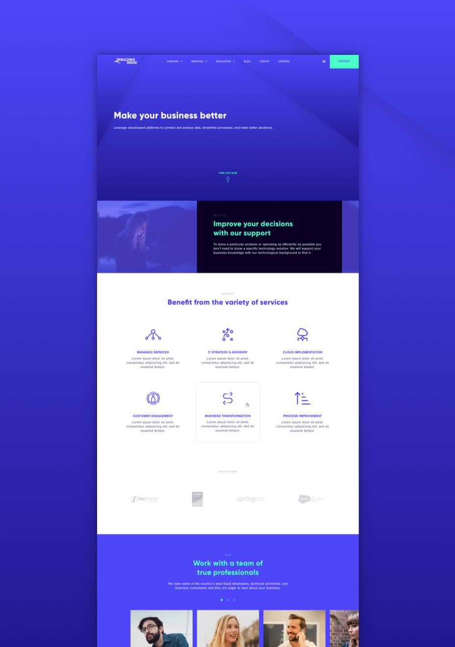 SPAULDING RIDGE - Design concept